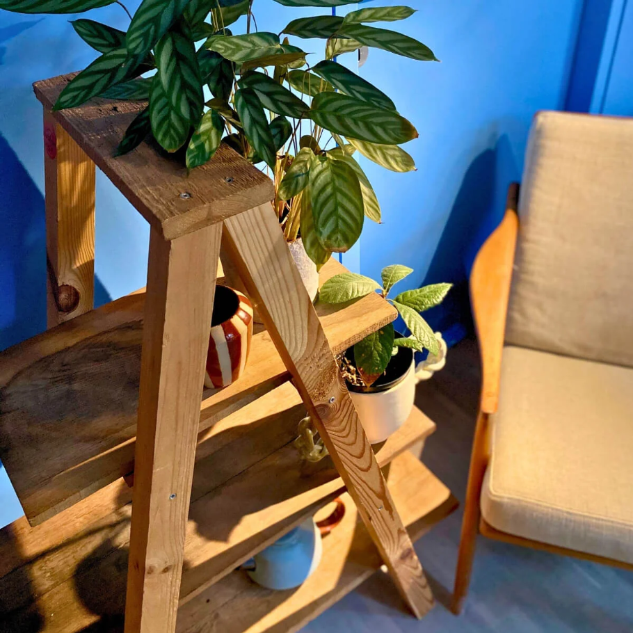 Workshop (1/2 dag): Plantentafel – Buurman Amsterdam