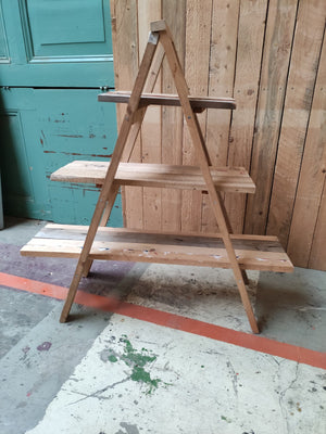 Workshop (1/2 dag): Plantentafel