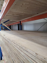 Multiplex platen