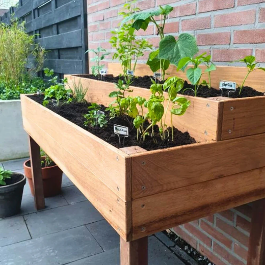 Workshop (1/2 day): Vegetable garden box