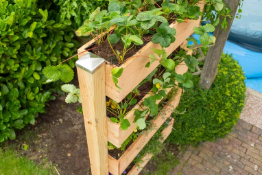 Workshop (1/2 day) Make a vertical herb garden