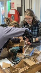 Workshop ( 1/2 dag ) Dierenhuisje