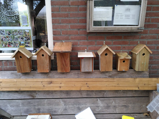 Workshop ( 1/2 dag ) Dierenhuisje